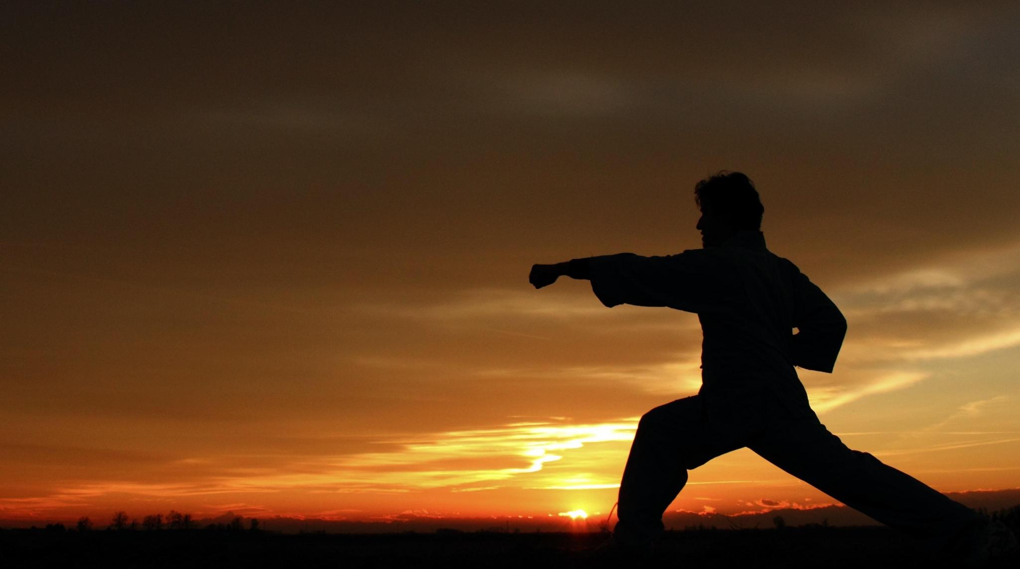 Boxsack Hängend Wandhängendes Canvas Boxsack-Set Für Wing Chun Kung Fu Und Bruce Lee Training Schlagpolster Mit Verdickten Pads Fuer Effektive Boxen Tritte Und Schlaege Kickhaltung Wandziel Tas Punch Fit - Boxsack Für