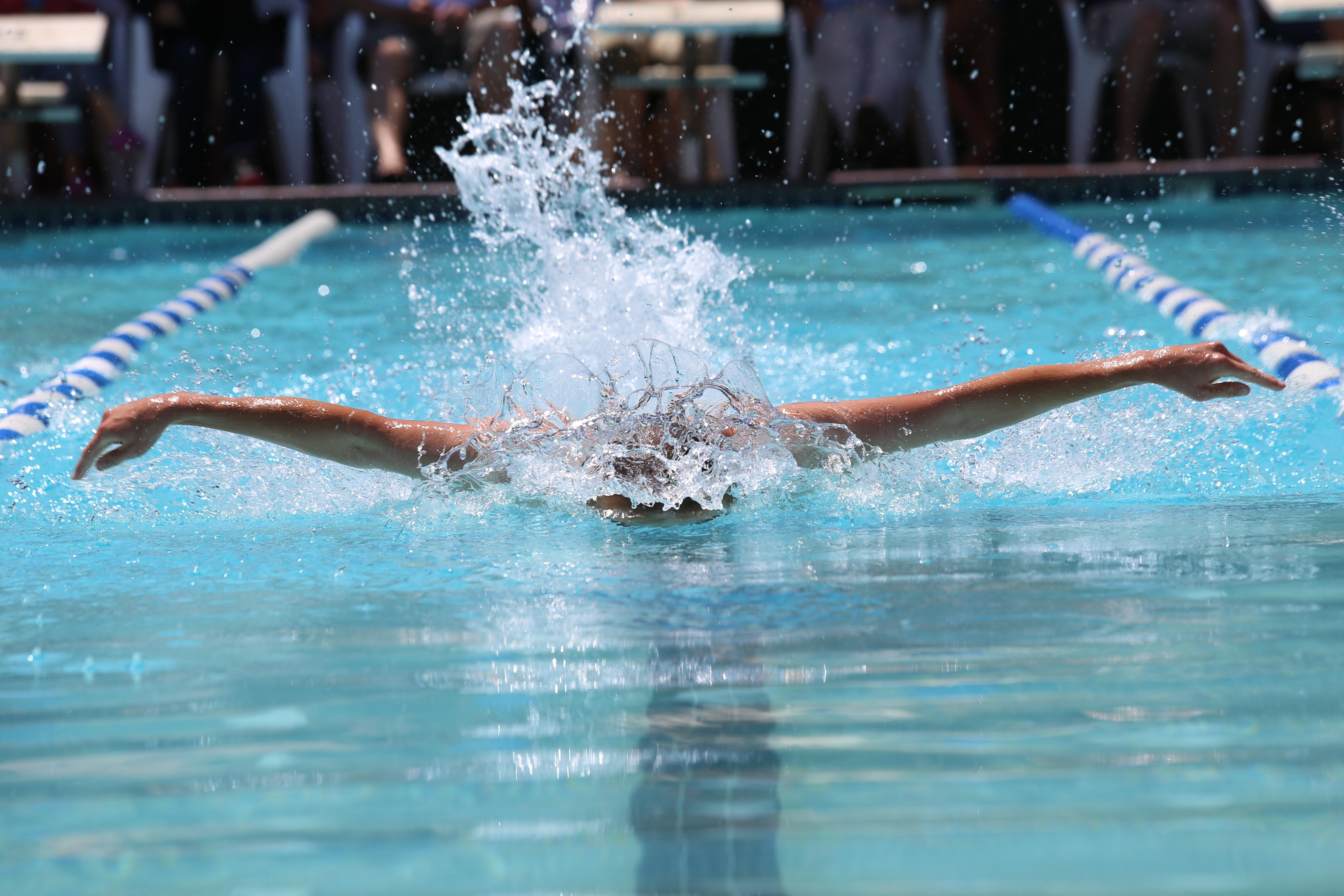Delfinschwimmen Lernen So Klappt s Superprof delfinschwimmen-lernen-so-klappt-s-superprof
